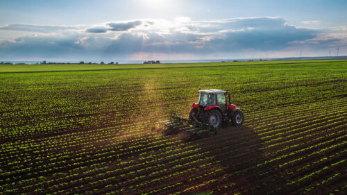 agricultural organic