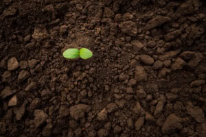 Unlock The Power Of Biologicals With BioMend+ From CoastBio