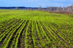 Why Hydroseeding Is The Preferred Choice For Erosion Control And Land Rehabilitation